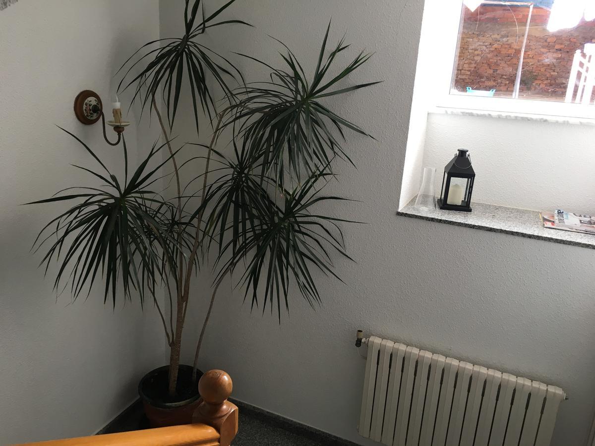 Pension Rosalia De Castro Hotell Foz Eksteriør bilde